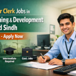 Junior Clerk Jobs in Planning and Development Board Sindh 2026-Apply Now